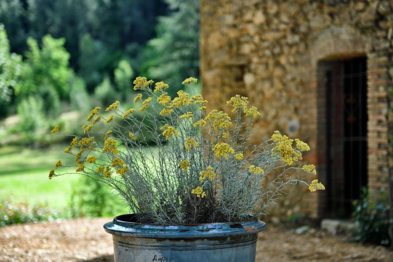 Les Jardins De Falguiere Saint-Jean-du-Gard Buitenkant foto
