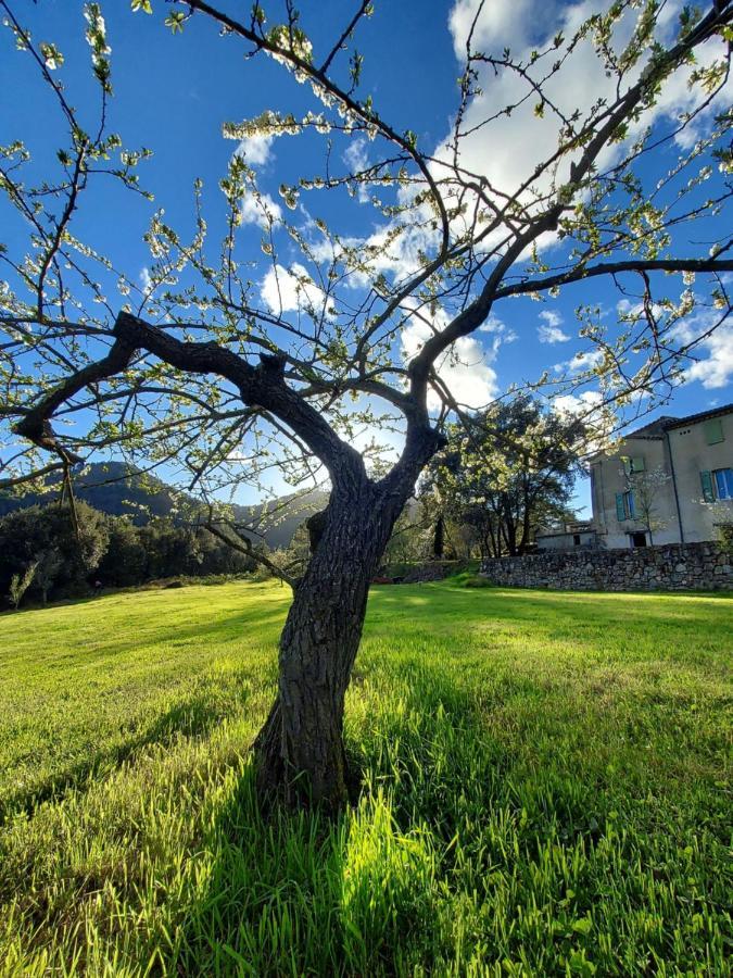 Les Jardins De Falguiere Saint-Jean-du-Gard Buitenkant foto
