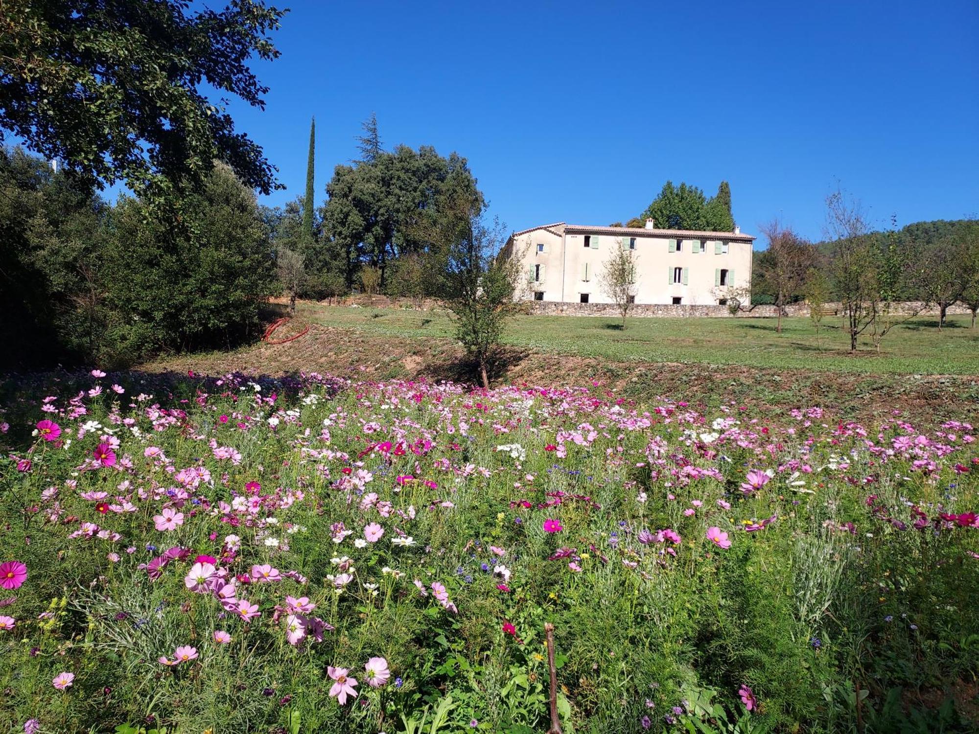 Les Jardins De Falguiere Saint-Jean-du-Gard Buitenkant foto